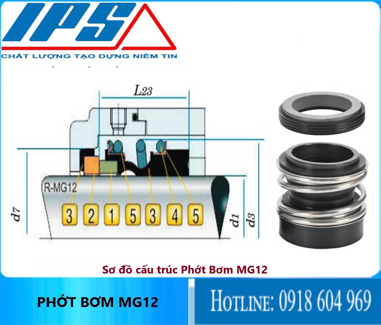 /Phớt MG12-17(1)